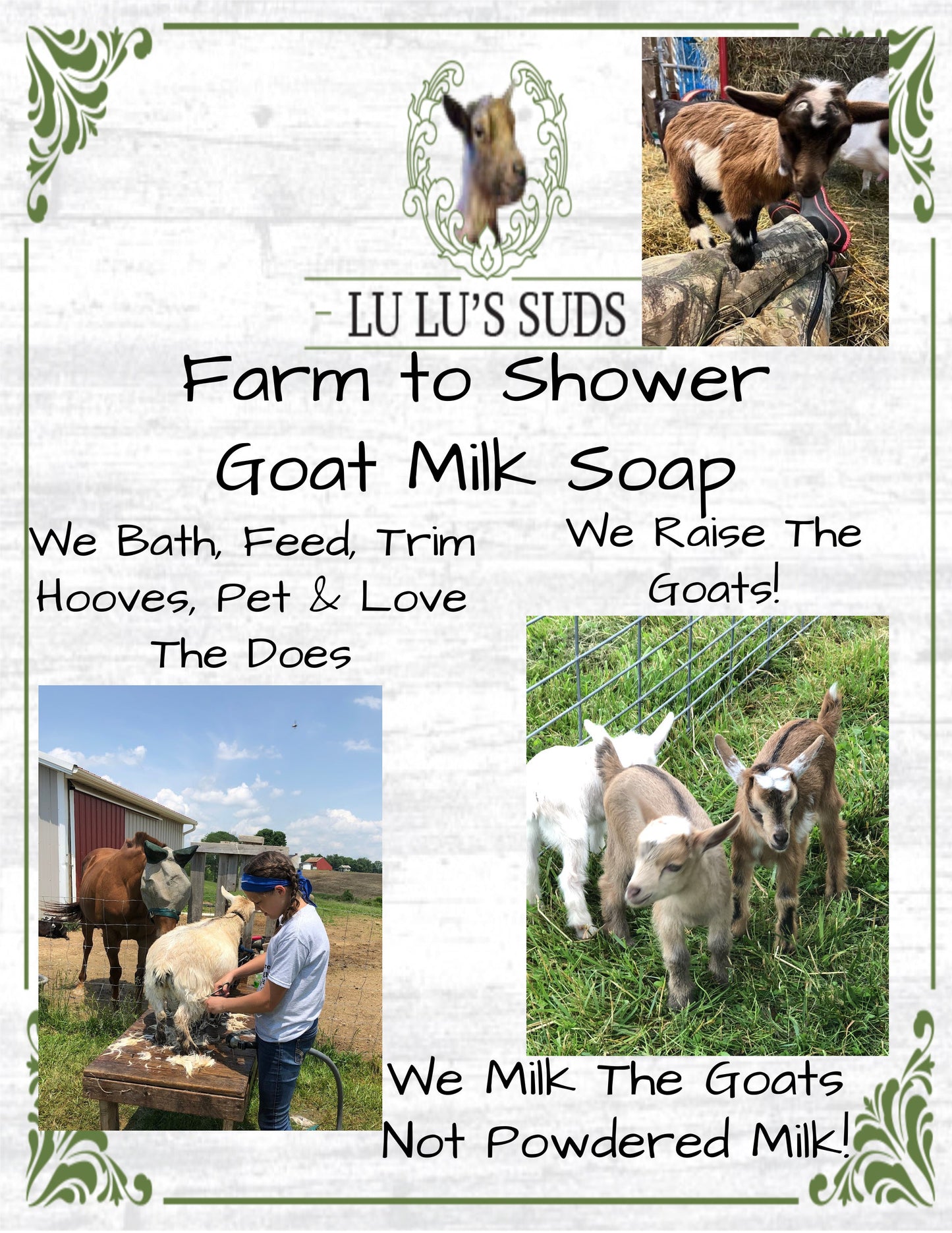Mango Goat Milk Soap 5 oz.