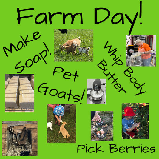 Farm Day Fun