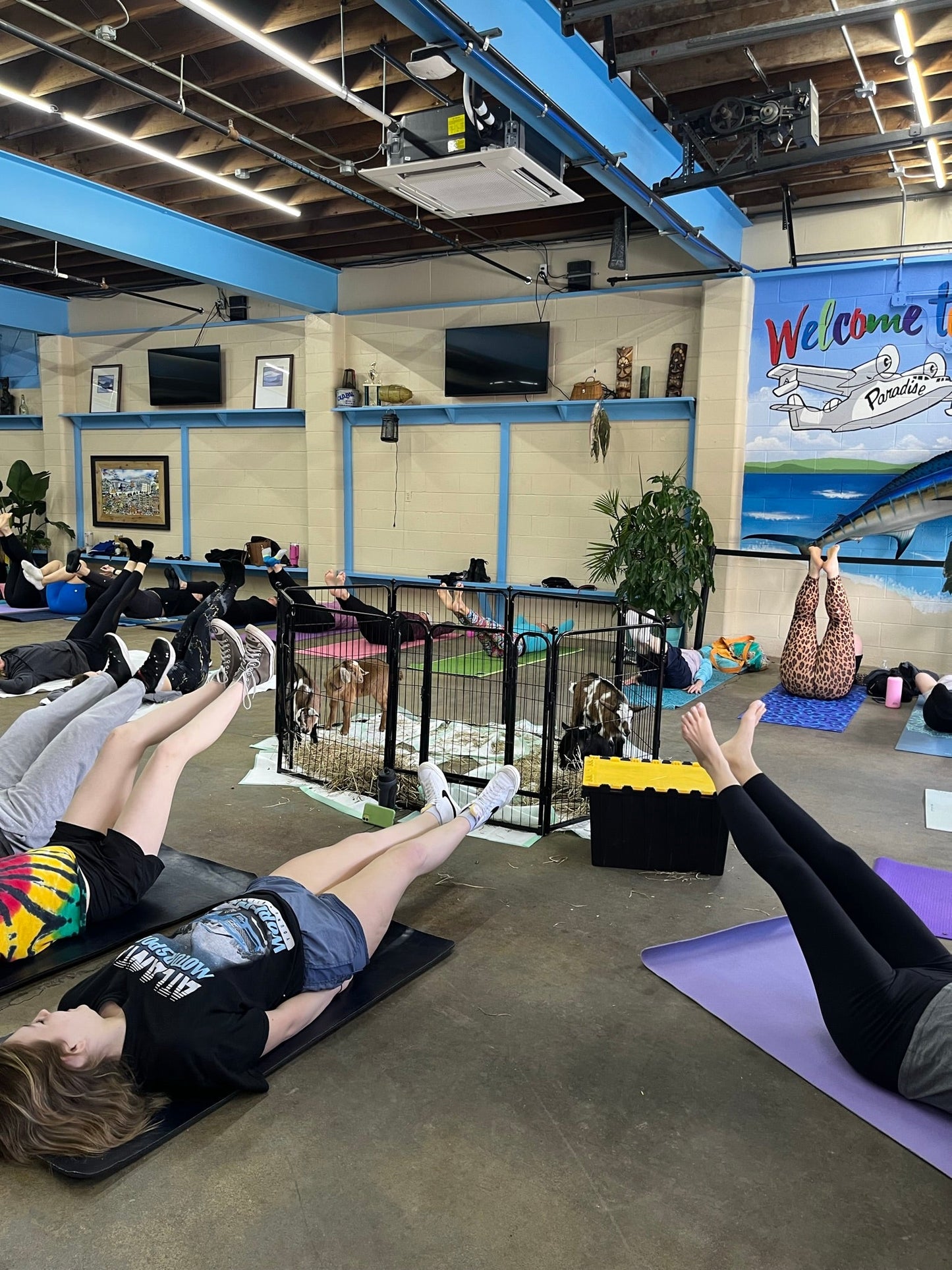 Goat Yoga at The Farm